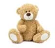 Stuffed Bear