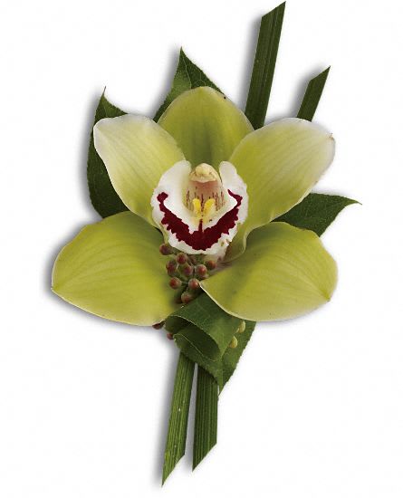 Green Orchid Boutonniere Flower Bouquet