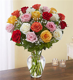 Assorted Roses 24, 36, 48 Long Stem Flower Bouquet