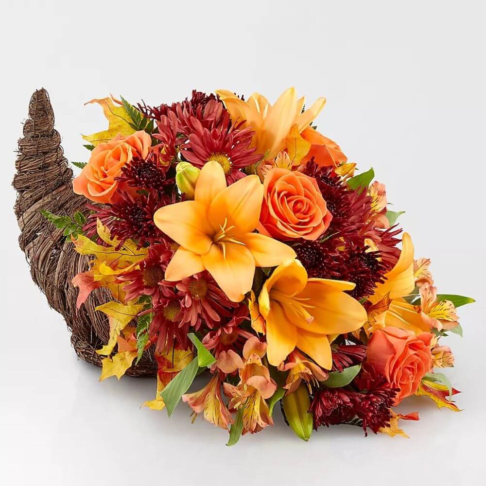 Harvest Comfort Cornucopia