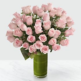 Delighted Luxury Rose Bouquet - 24-inch Premium Long-Stemmed Roses Flower Bouquet