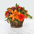 Harvest Memories™ Basket - Exquisite