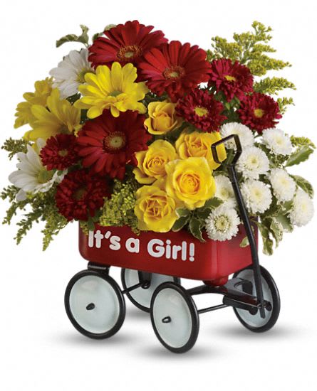 Baby''s Wow Wagon - Girl