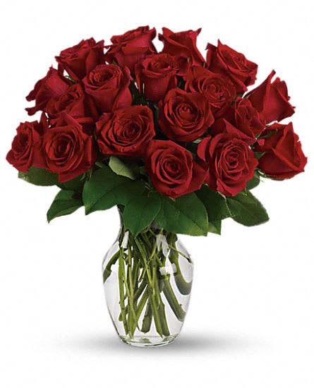 Enduring Passion - 12 Red Roses