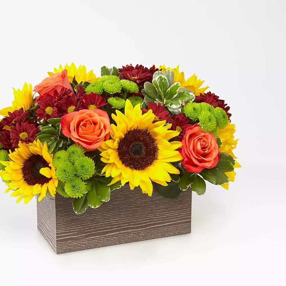 Happy Harvest Garden