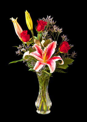 Judy's Roses and Stargazers JRAS