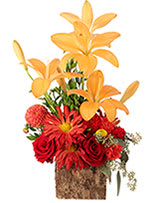 LOVELY SUNSHINE
Floral Arrangement