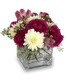 RASPBERRY SWIRL  Floral  Arrangement