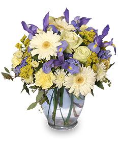 Welcome Baby Boy Flower  Arrangement