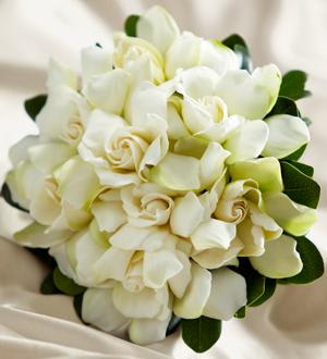 Champagne Dreams Bouquet