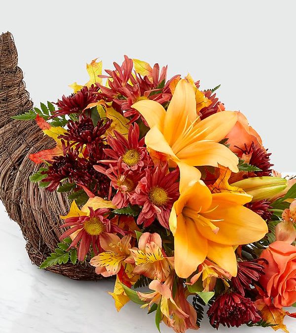 Harvest Comfort™ Cornucopia