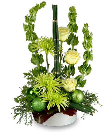 GREEN MYSTIQUE Winter Flowers