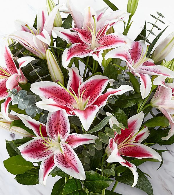 Up Among the Stars Lily Bouquet
