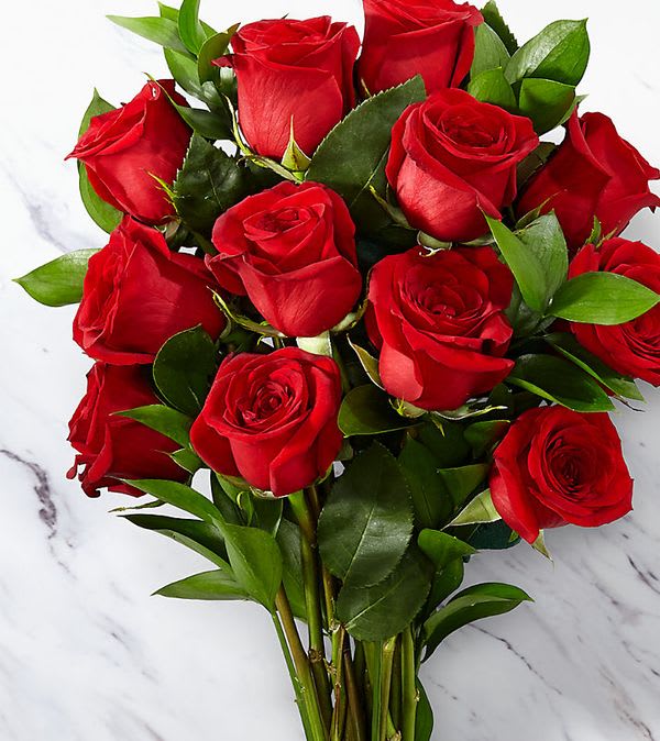 Red 1 Dozen Roses