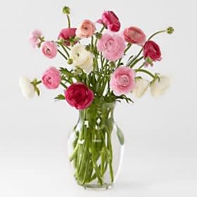 Be Mine Ranunculus Grande Bouquet