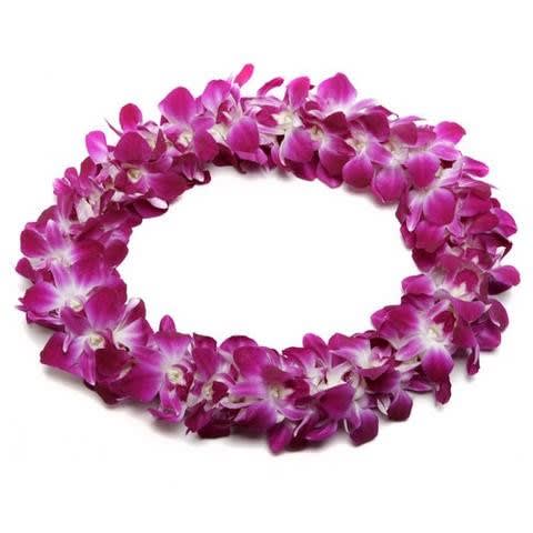 Graduation Lei