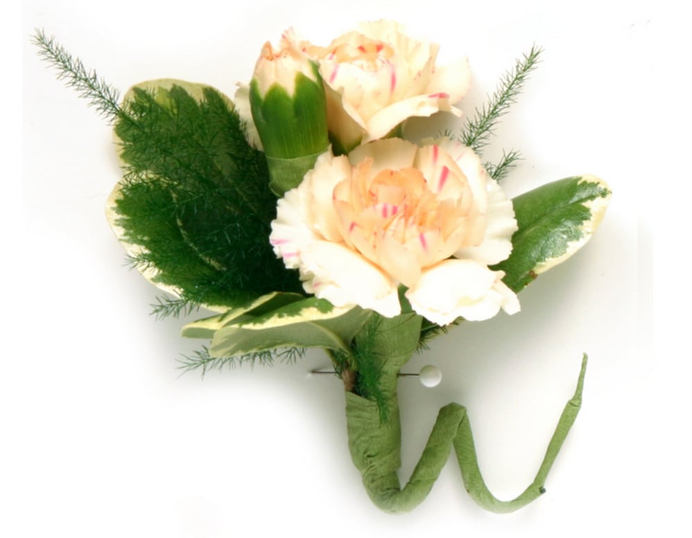 Carnation Boutonniere