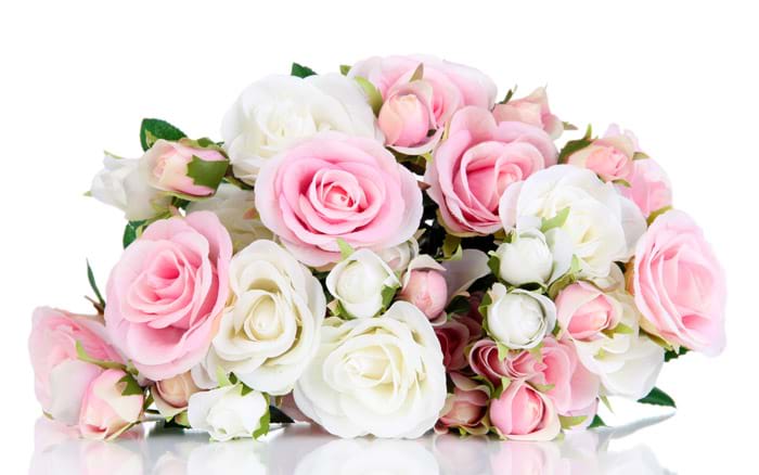 Beautiful Image with Content