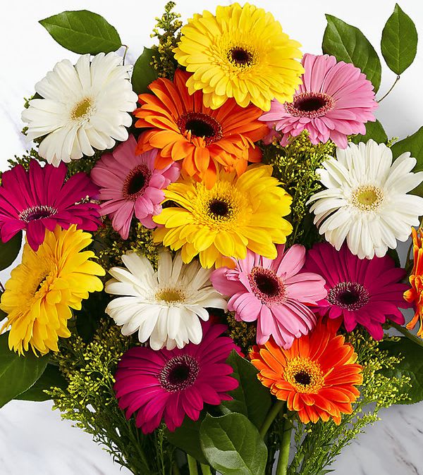 Colorful World Gerbera Daisy Bouquet Flower Bouquet