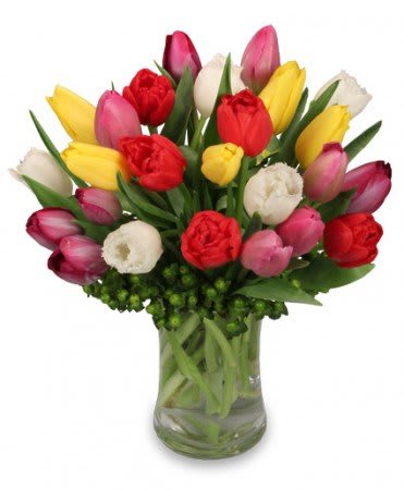 Tip Top Tulips