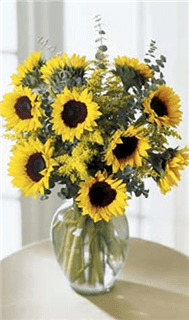 Endless Sunflower Bouquet