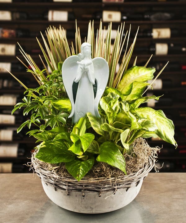 Dish Garden with Angel