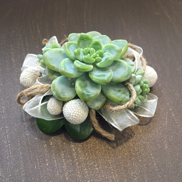 Succulent Corsage