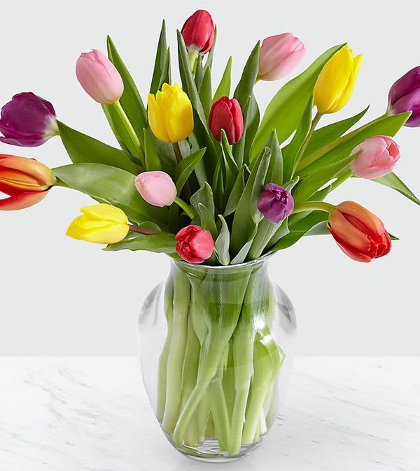 Rush of Color Assorted Tulip Bouquet