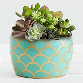 Desert Jewel Succulent Garden Flower Bouquet