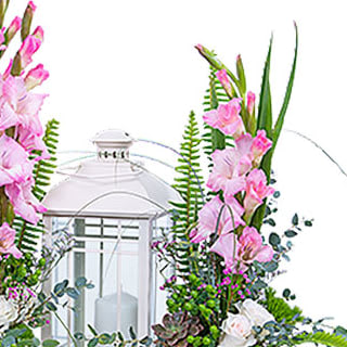 Light in the Darkness