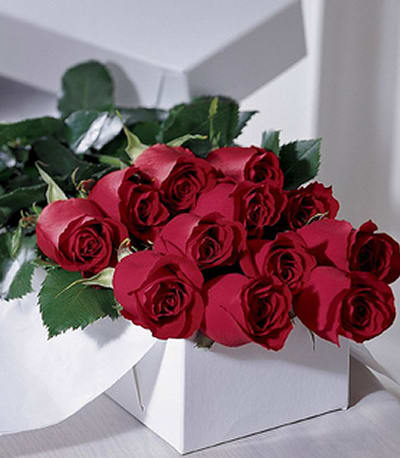 12 Red Roses in a Long Rose Box Flower Bouquet