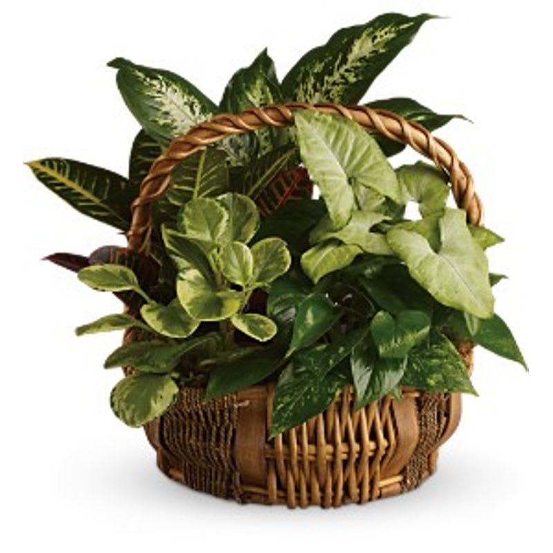 Emerald Garden Flower Bouquet