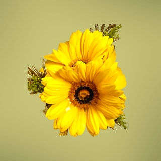 Dreamy Sunshine Wristlet