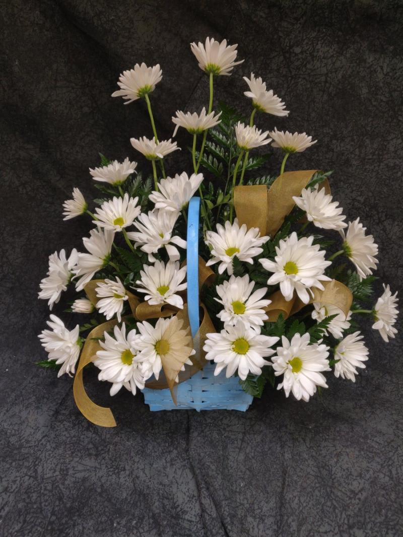 FR24-21 Basket Sympathy Arrangement