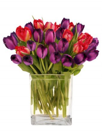 Royal Amethyst  Arrangement