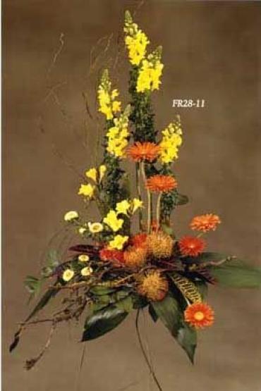 FR28-11 Standing Spray