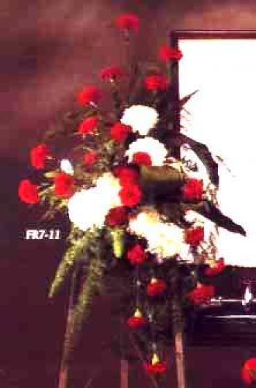 FR7-11 Standing Spray