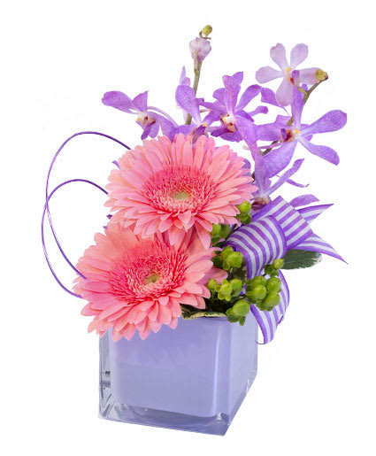 PINK GERBERAS & ORCHIDS