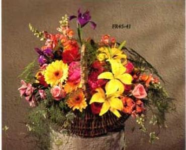 FR45-41 Basket Arrangement