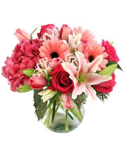 EMBRACEABLE Pink 