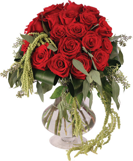 LOVE & AMARANTHUS