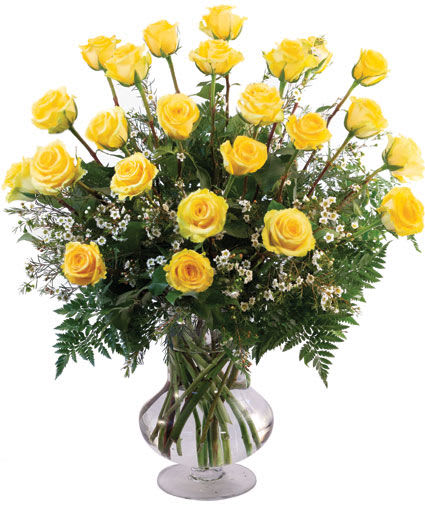 TWO DOZEN YELLOW ROSES