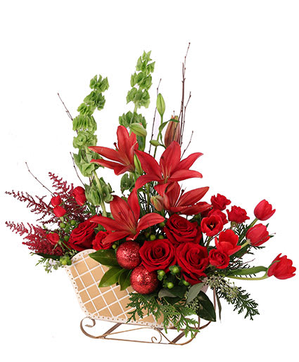 RUBY RED SLEIGH