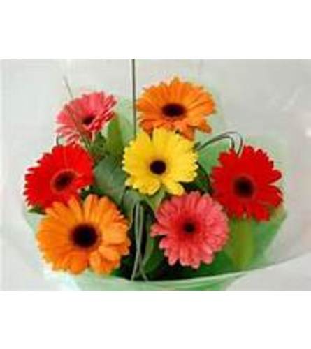 Gerbera Daisies Wrapped Flower Bouquet