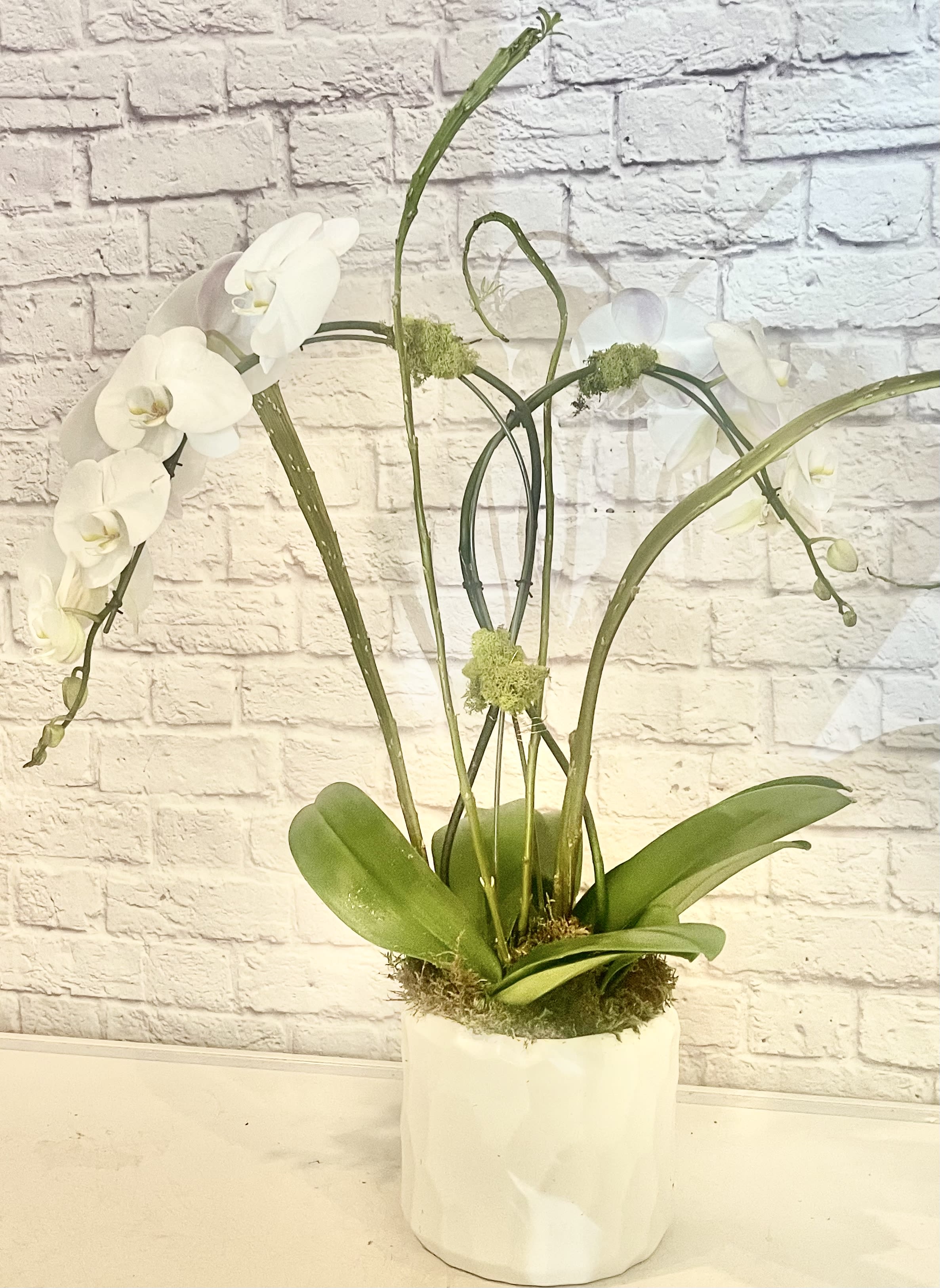 White Orchid Pot