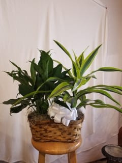 Double Plant Basket Flower Bouquet