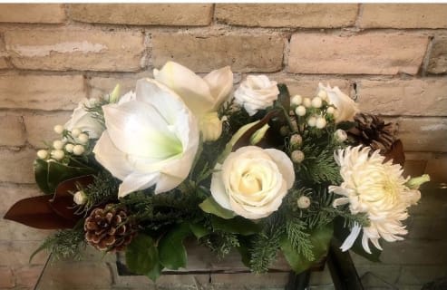 Christmas and Winter