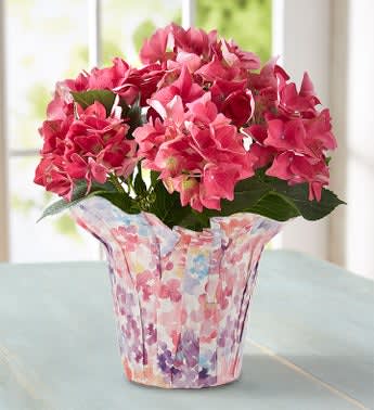 Bird House of Blooms®
