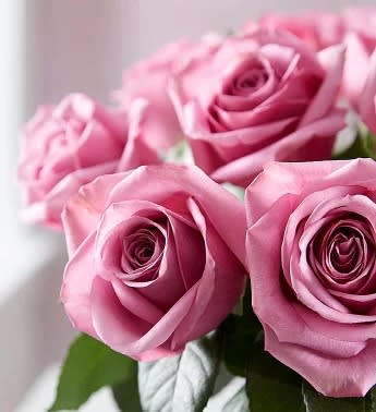 Mother's Day Passion for Purple Roses