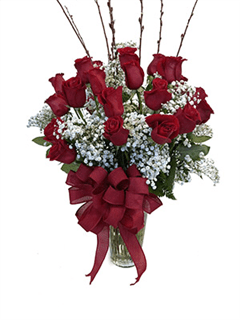 Two Dozen Premium Long Stem Red Roses